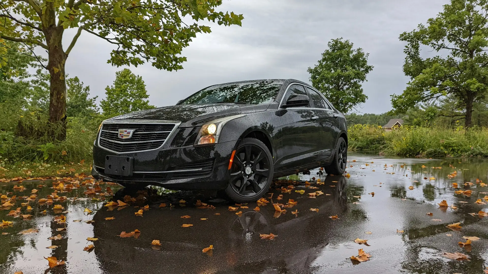 Elegant black Cadillac parked on a wet road with autumn leaves, showcasing luxury automotive design.